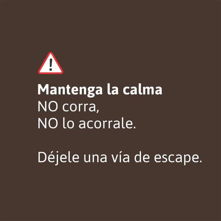 WhatsApp Image 2022-10-26 at 14.21.48