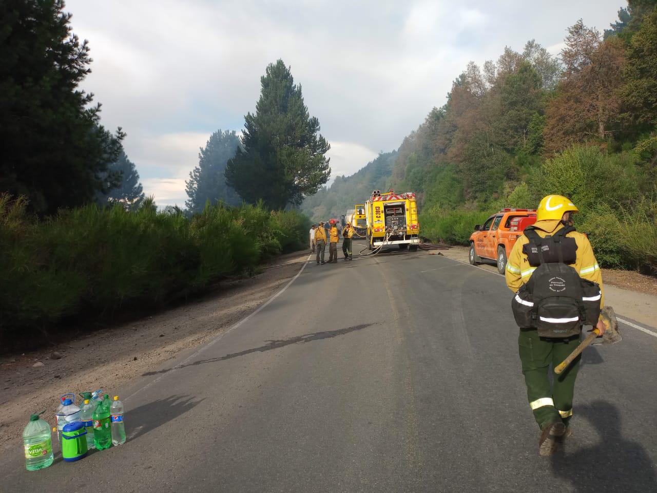 WhatsApp Image 2023-01-16 at 19.44.00