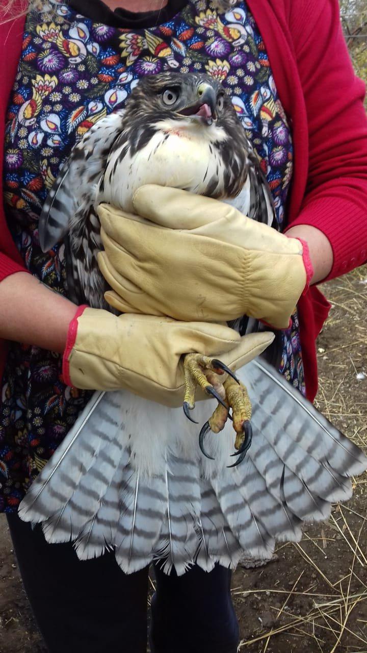 WhatsApp Image 2022-05-19 at 12.50.19 PM