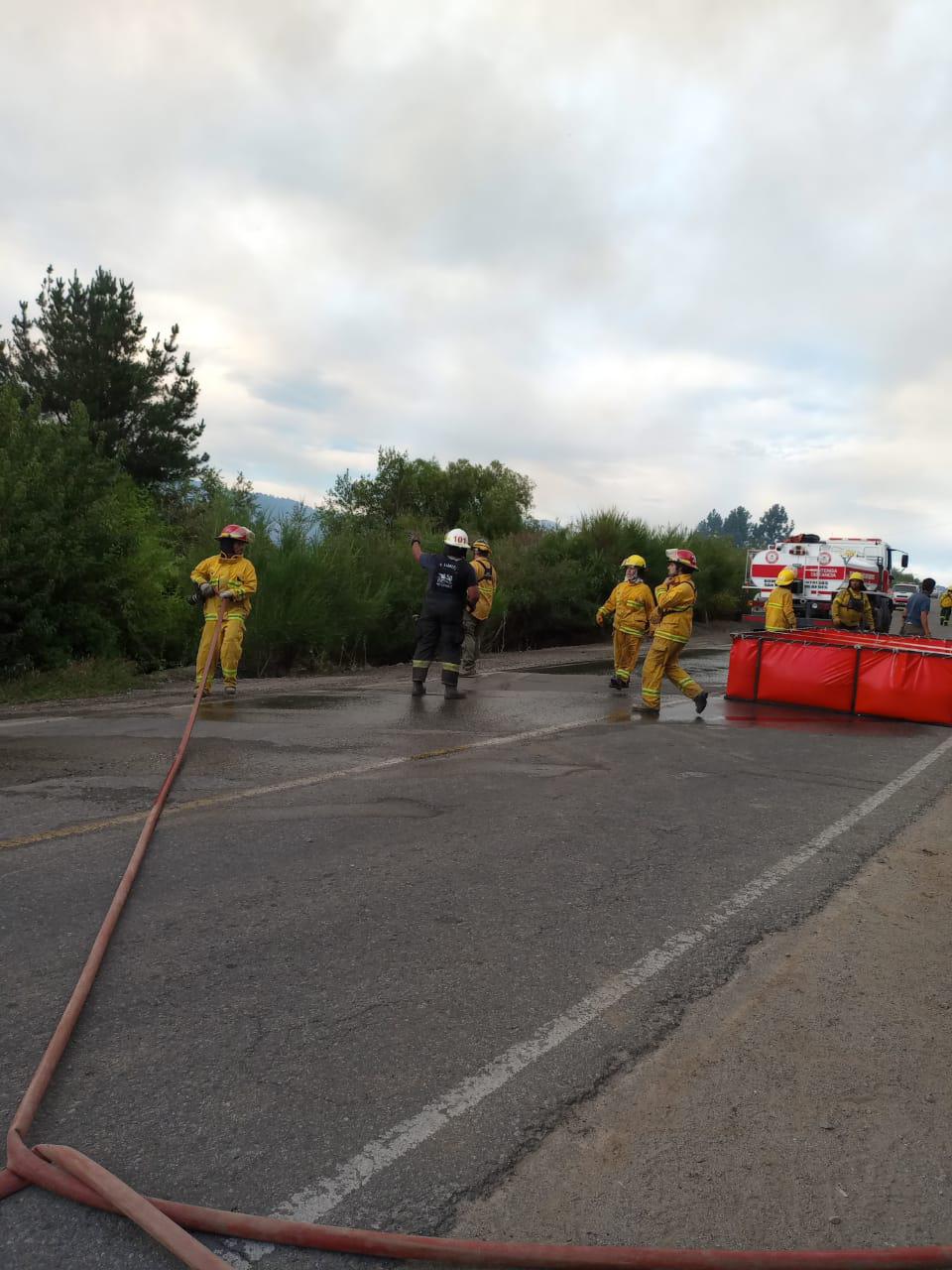 WhatsApp Image 2023-01-16 at 19.05.10