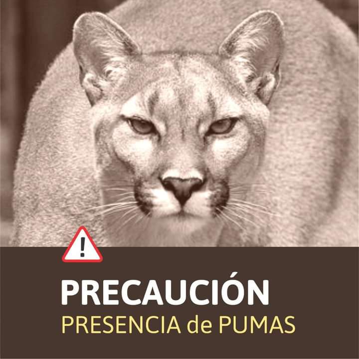 WhatsApp Image 2022-10-26 at 14.21.49 (1)