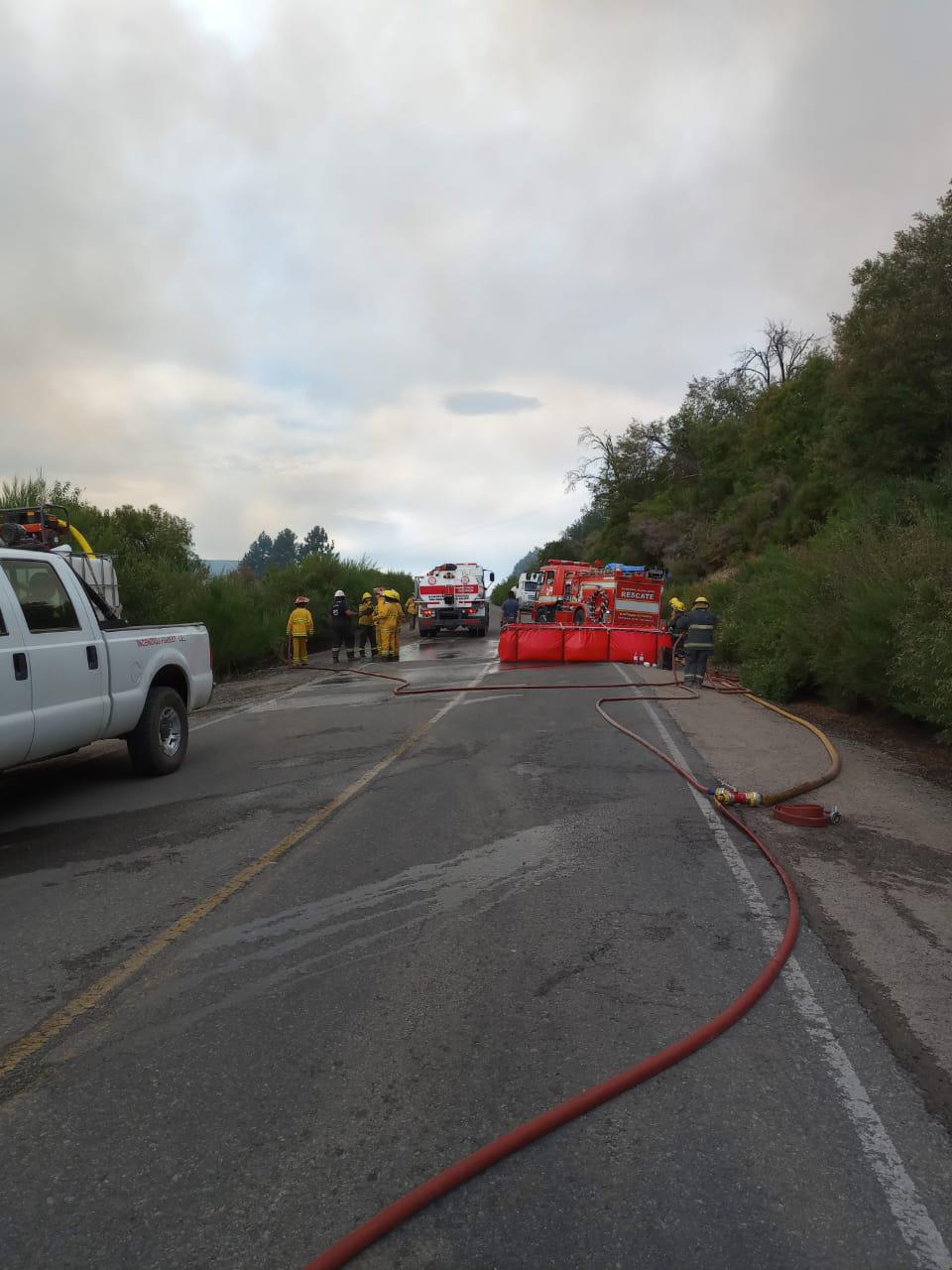 WhatsApp Image 2023-01-16 at 19.05.09