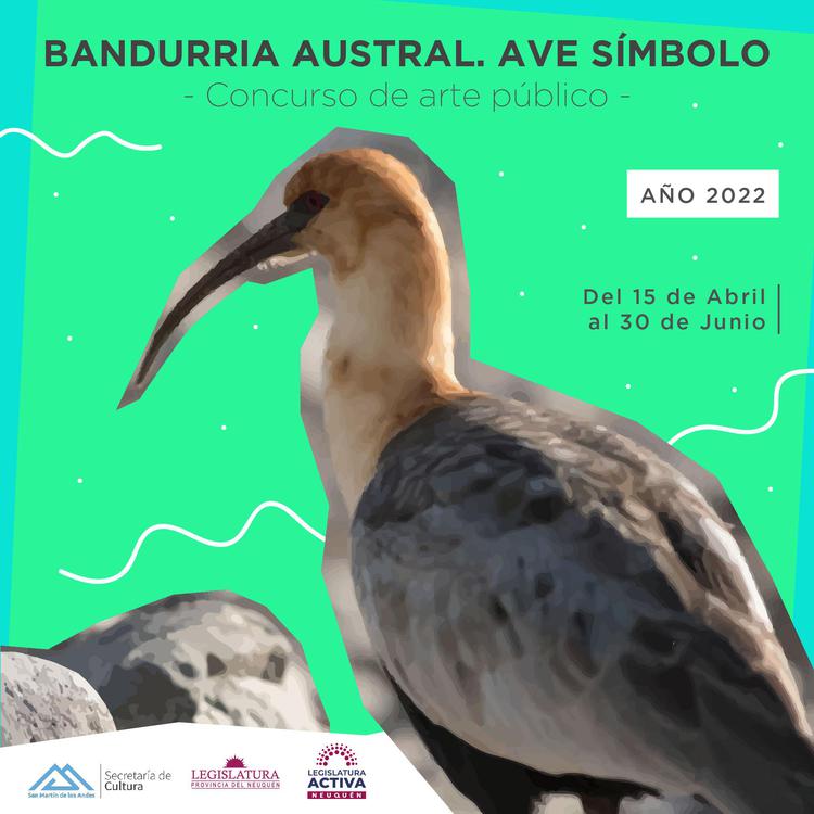 bandurria austral-01