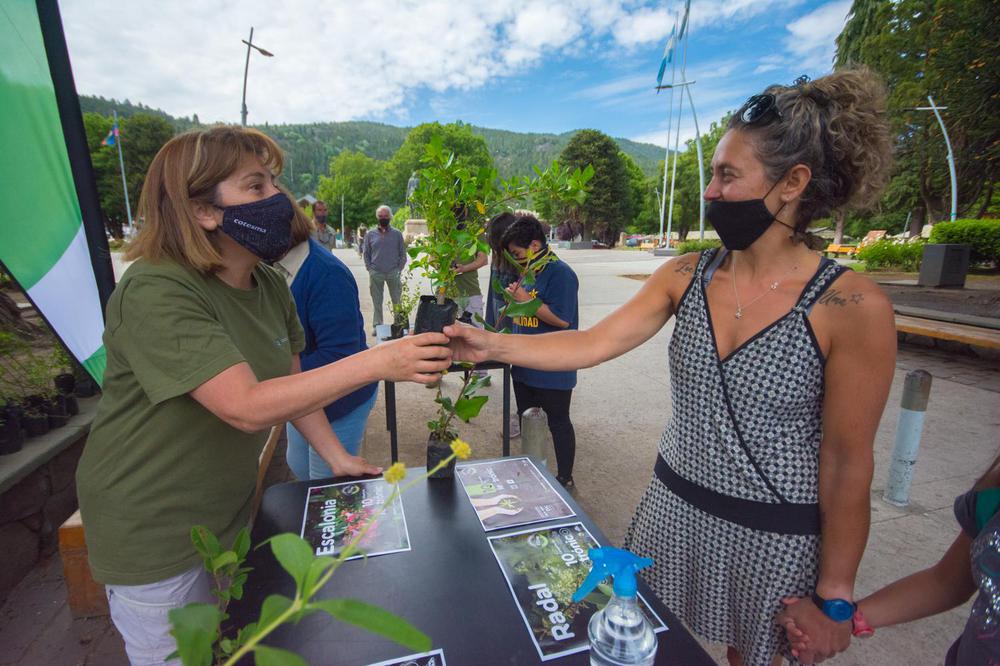 CAMPAÑA RECICLAJE ELECTRONICO 2020 COTESMA DSC_6221