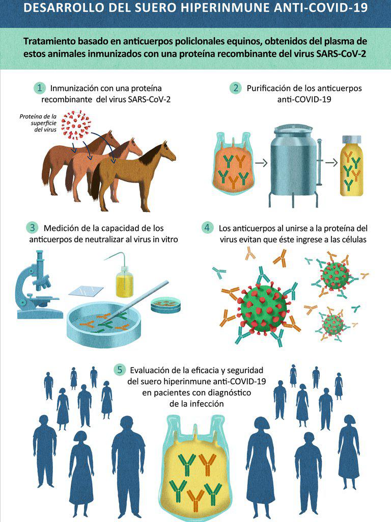 suero equino1