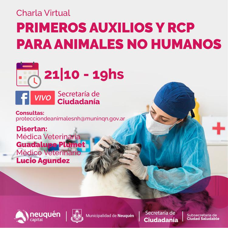 rcp animales