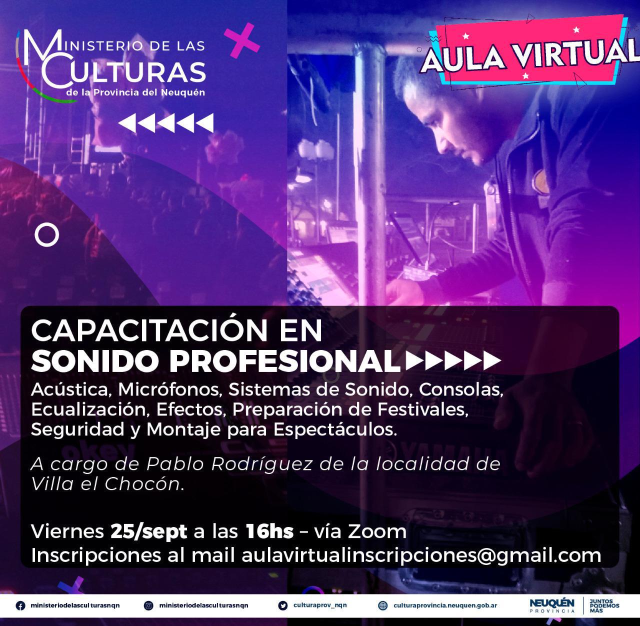 sonido profesional1