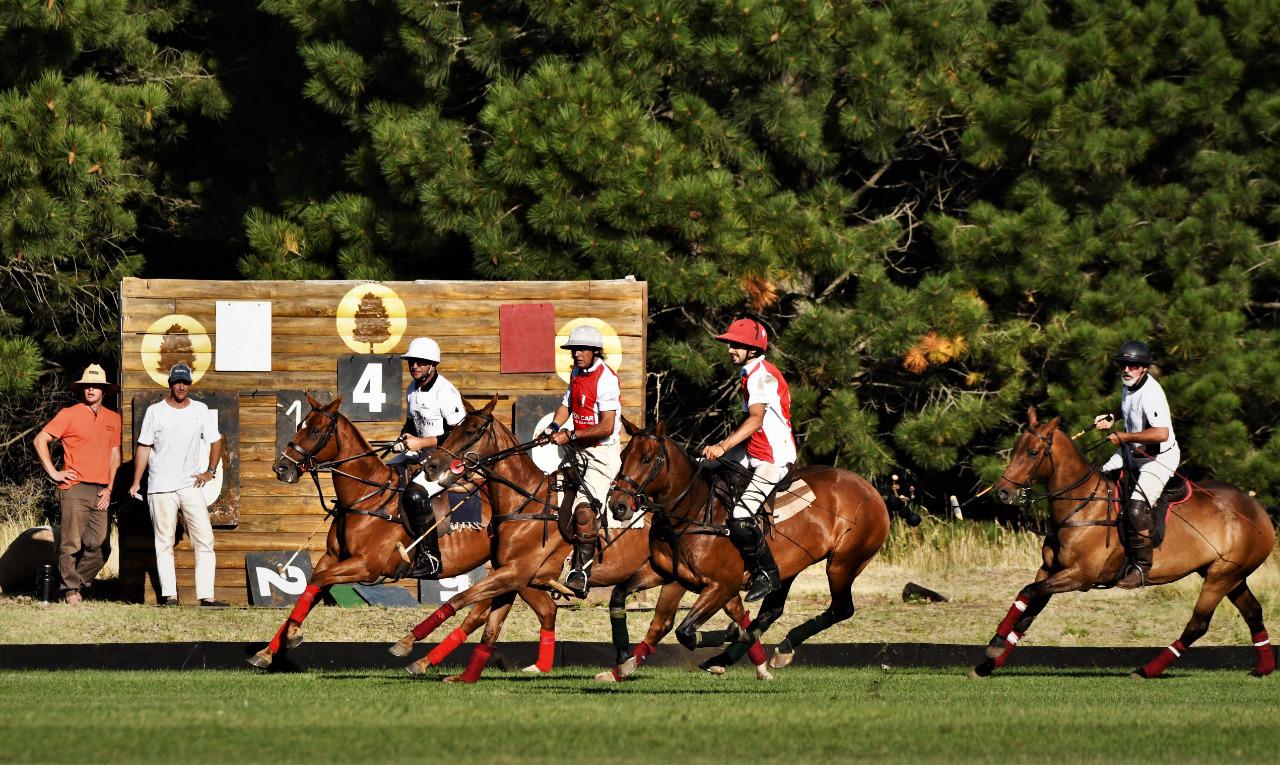 WhatsApp Image 2022-01-27 at 2.49.45 PM