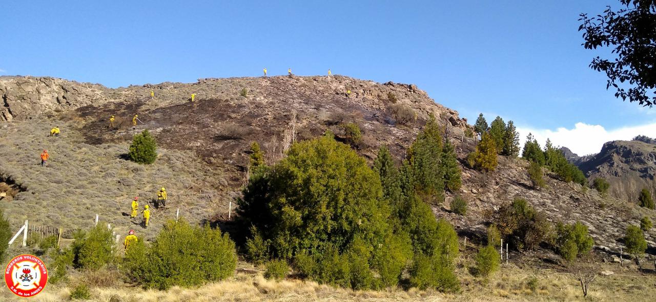 WhatsApp Image 2020-09-26 at 12.21.23 (1)