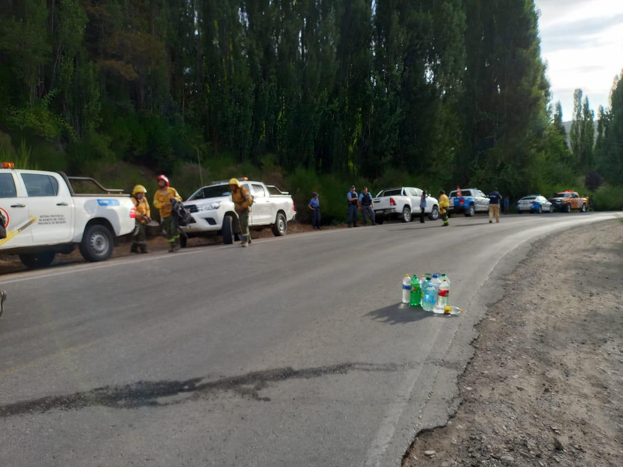 WhatsApp Image 2023-01-16 at 19.44.00(1)