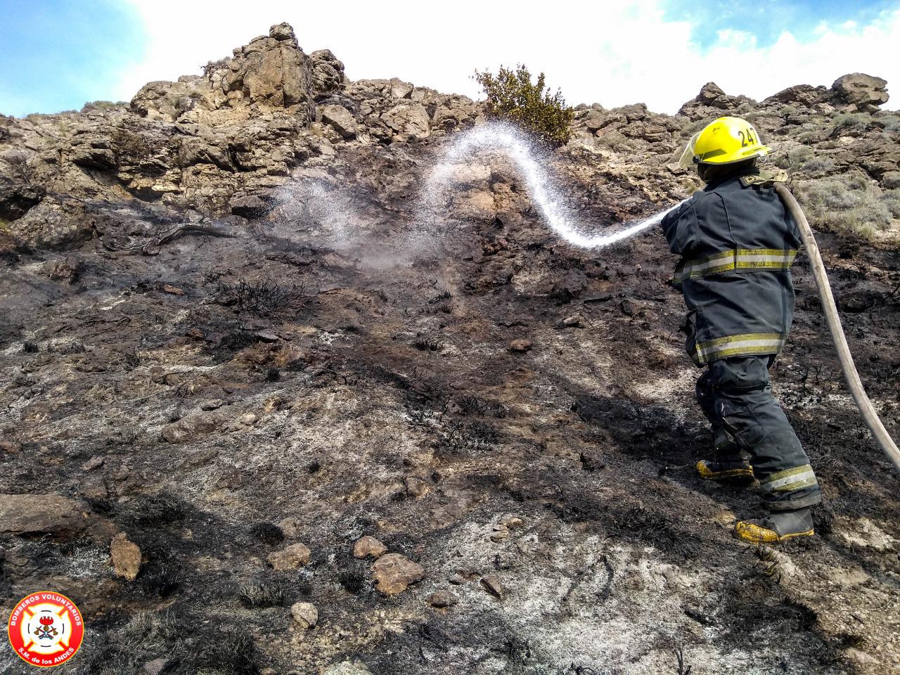 WhatsApp Image 2020-09-26 at 12.21.11