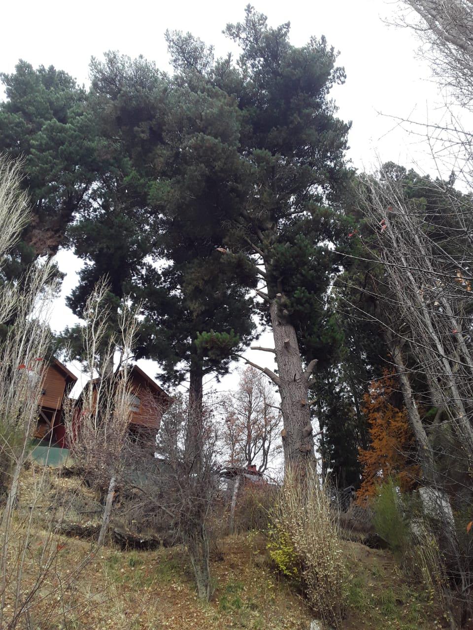 Foto de Pablo Campolongo (1)