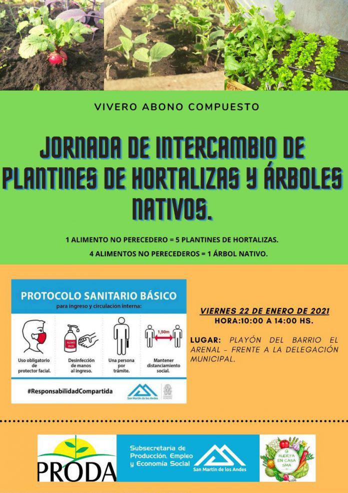 intercambio plantines2