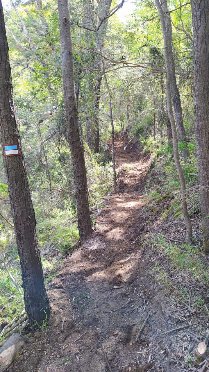 WhatsApp Image 2022-10-28 at 09.57.27