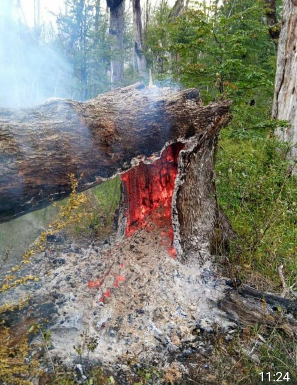 WhatsApp Image 2021-02-13 at 11.50.30 (1)