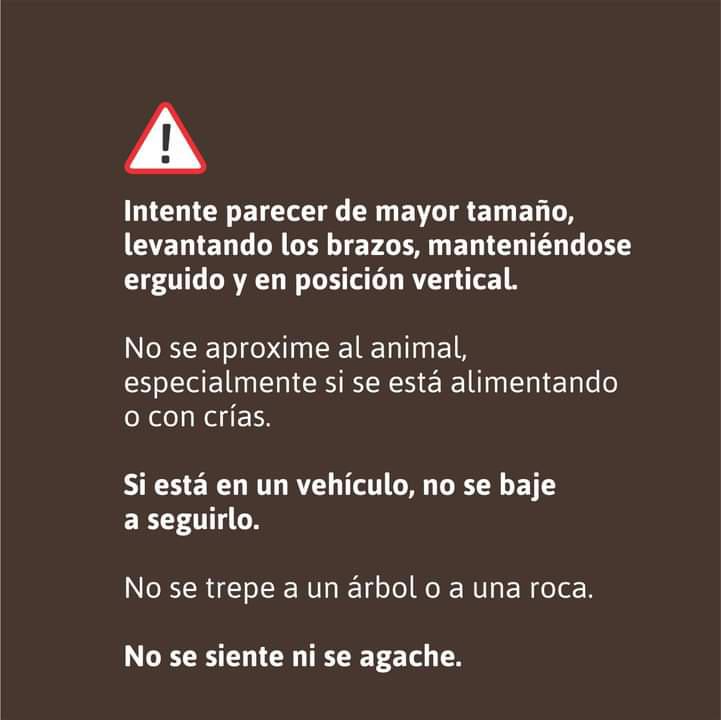 WhatsApp Image 2022-10-26 at 14.21.49