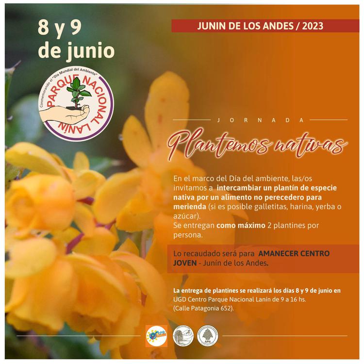 Imagen de WhatsApp 2023-06-02 a las 09.53.18