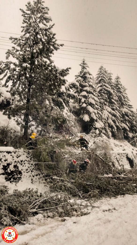 Bomberos y la nieve (4)