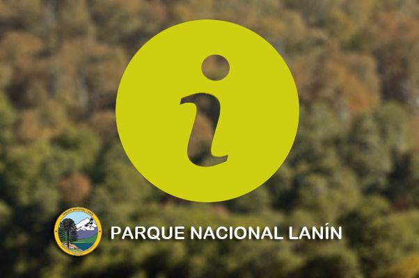 parque lanin informa
