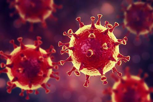 coronavirus3