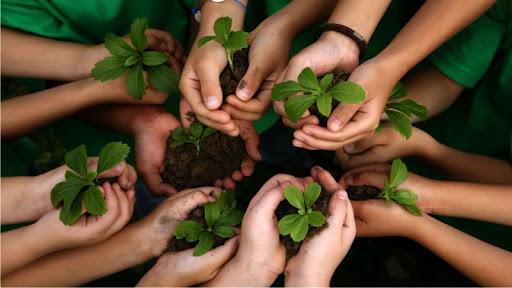 intercambio plantines1