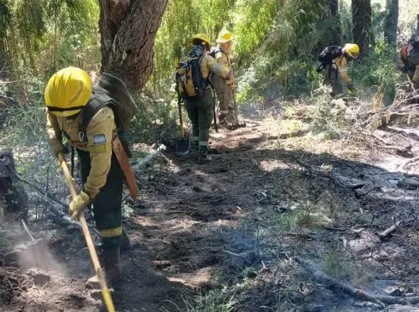 incendio magdalena