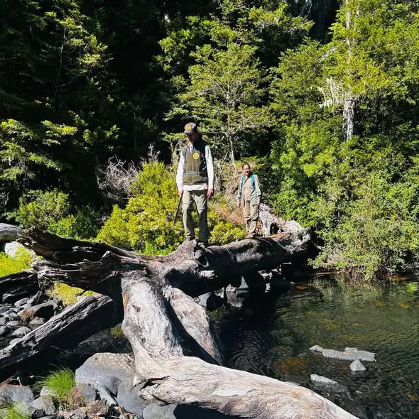 627989790_1198057899173357_8686690172749497713_n