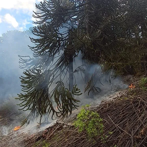 577194543_1130938775885270_2270650365485981683_n