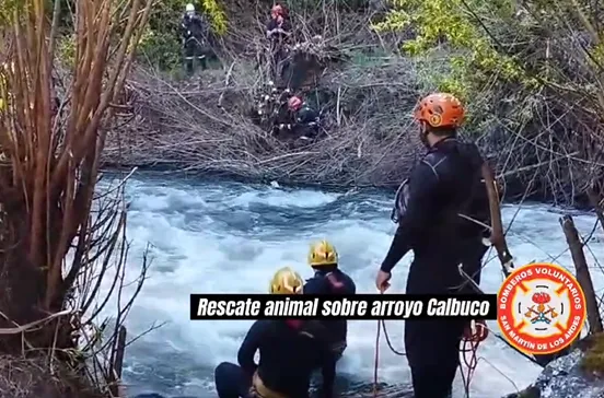 Captura de pantalla 2024-10-21 095657