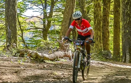 Captura de pantalla 2024-09-11 104019