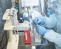 laboratorio2