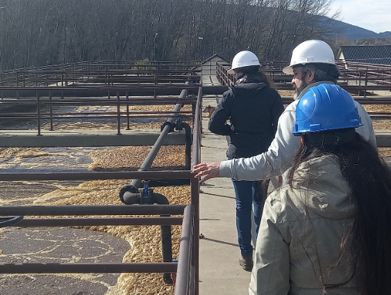 Captura de pantalla 2024-06-04 120853