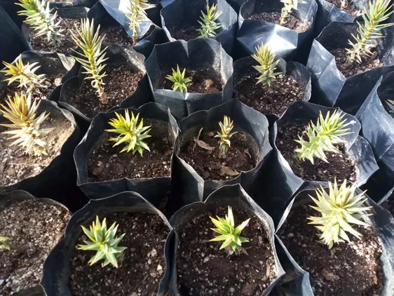 461323079_831722295806921_4783572150743377619_n