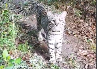 Captura de pantalla 2024-03-19 091500