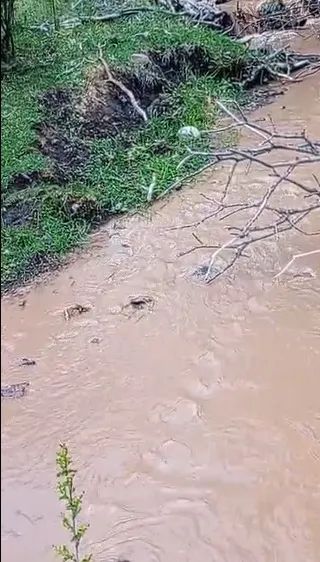 585313121_1154769560160878_8638855251474294673_n