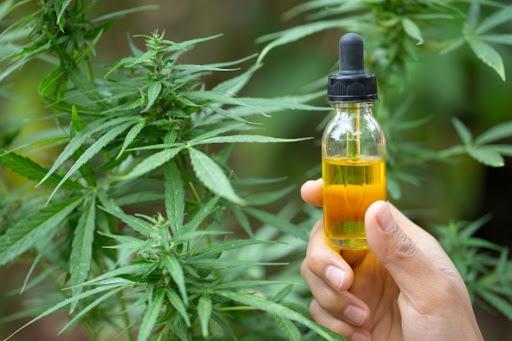 uso medicinal cannabis