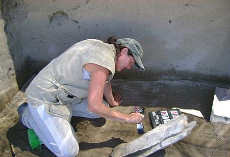 arqueologia1