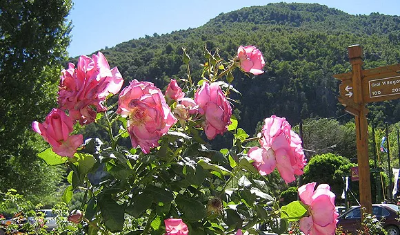 Foto_936198178