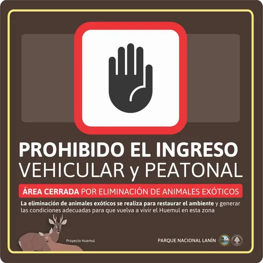 542509999_1079749687670846_6984499968550691983_n