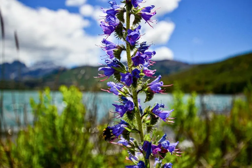 md - 2026-02-13T110206.668