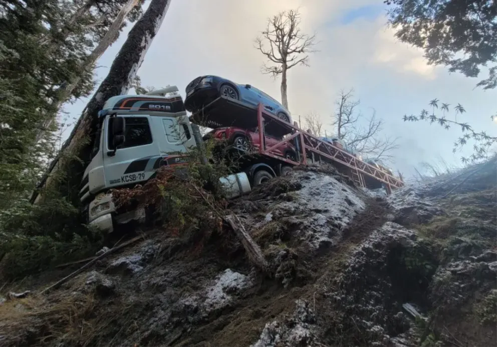 camion mosquito colgado