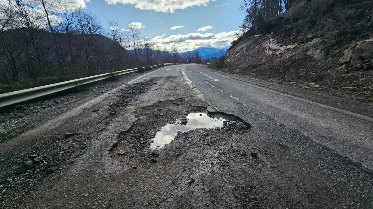 Ruta Bache