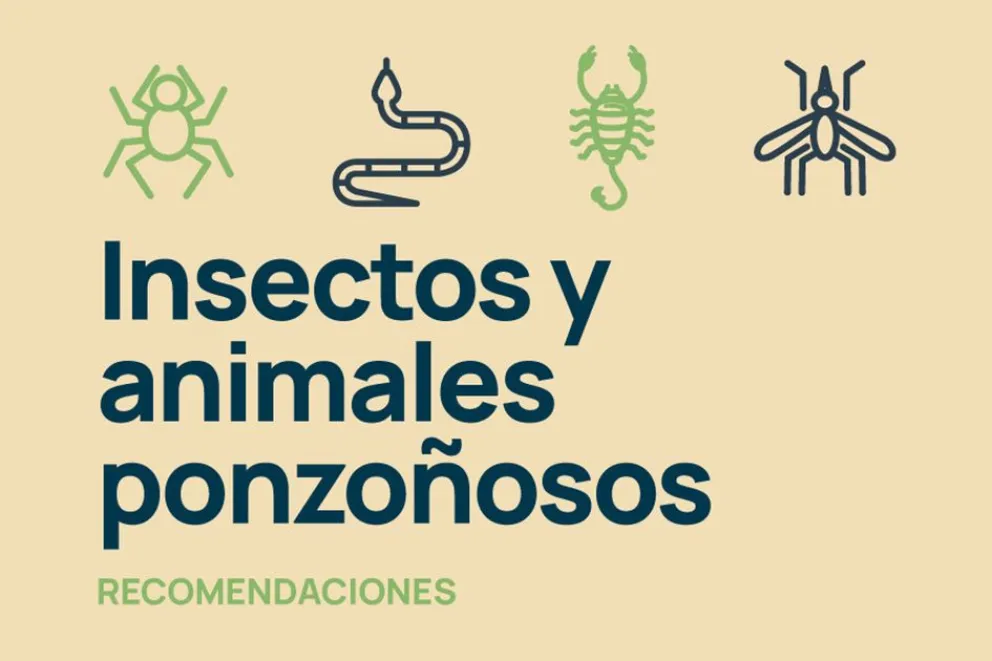 md - 2025-12-15T100250.537