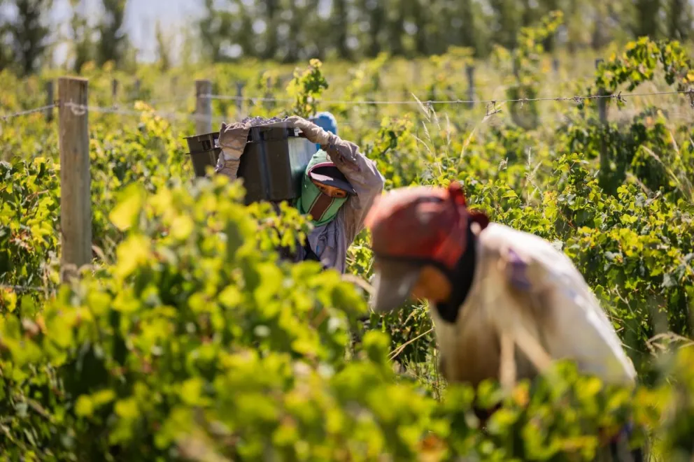 md - 2026-02-23T100747.610