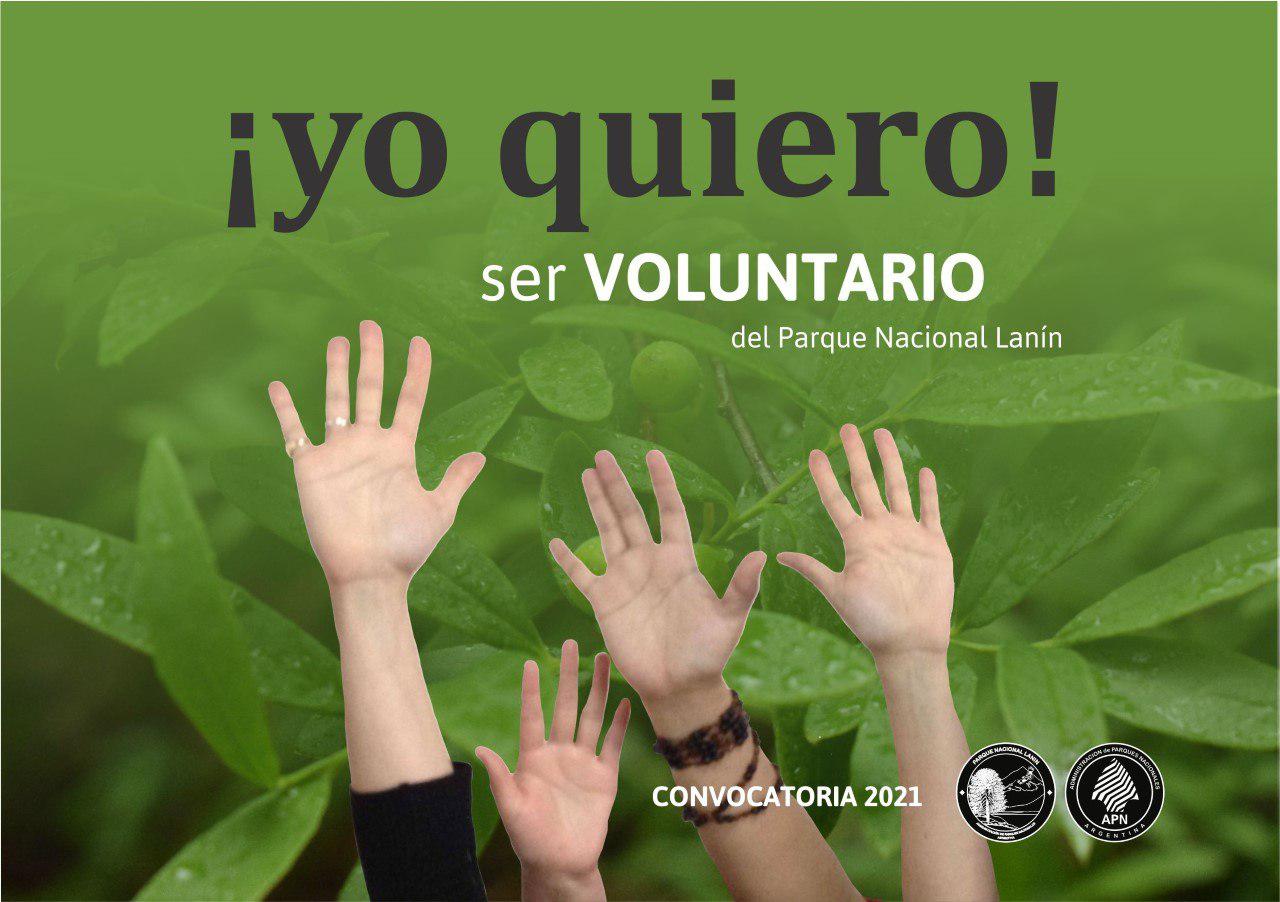 pnl voluntarios