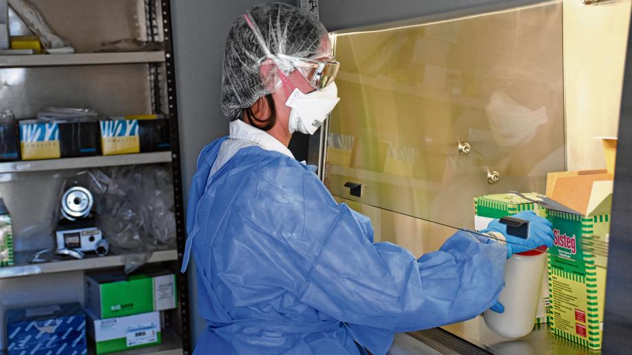laboratorio central nqn