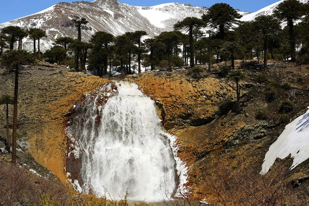 md - 2025-12-26T121329.589