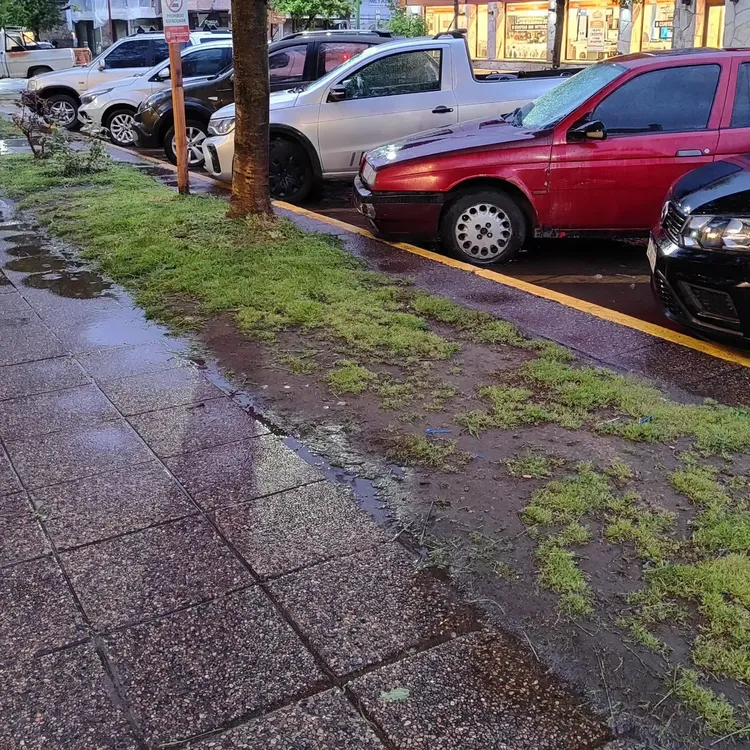 Imagen de WhatsApp 2024-10-18 a las 13.03.08_3a1920da