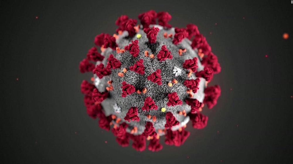 coronavirus2