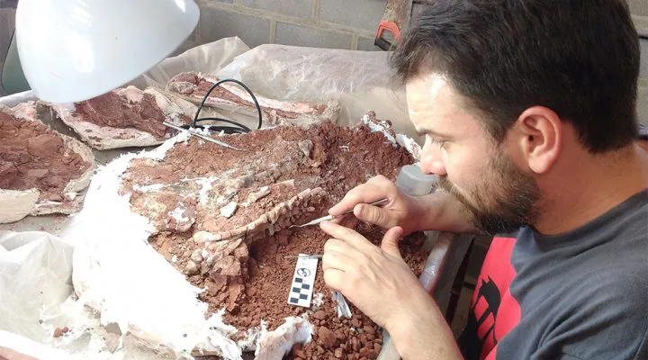 CONICET_NATURE_8-720x400